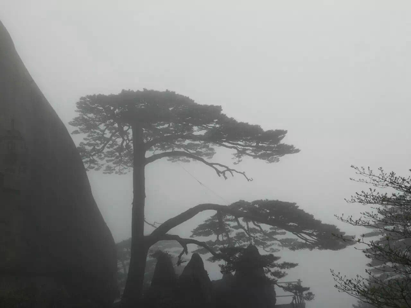2016 company three-day tour of Huangshan